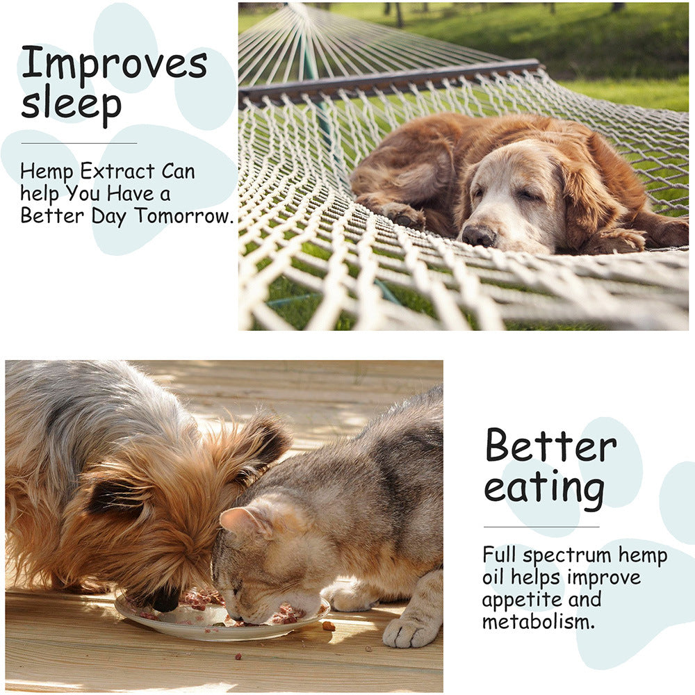 Hemp Oil For Pets