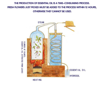 Grapefruit Cellulite-Targeting Essential Oil