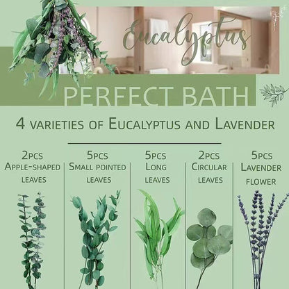 Shower Eucalyptus Lavender Mixed Bundle Set