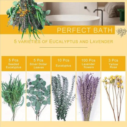 Shower Eucalyptus Lavender Mixed Bundle Set